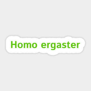 Homo ergaster Sticker